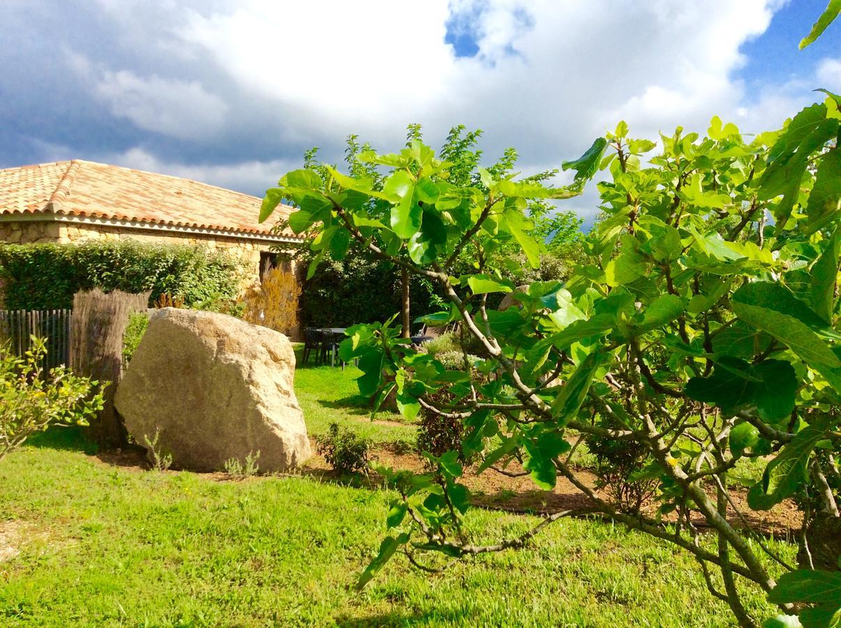 Clos Simoni Figari  Exterior foto